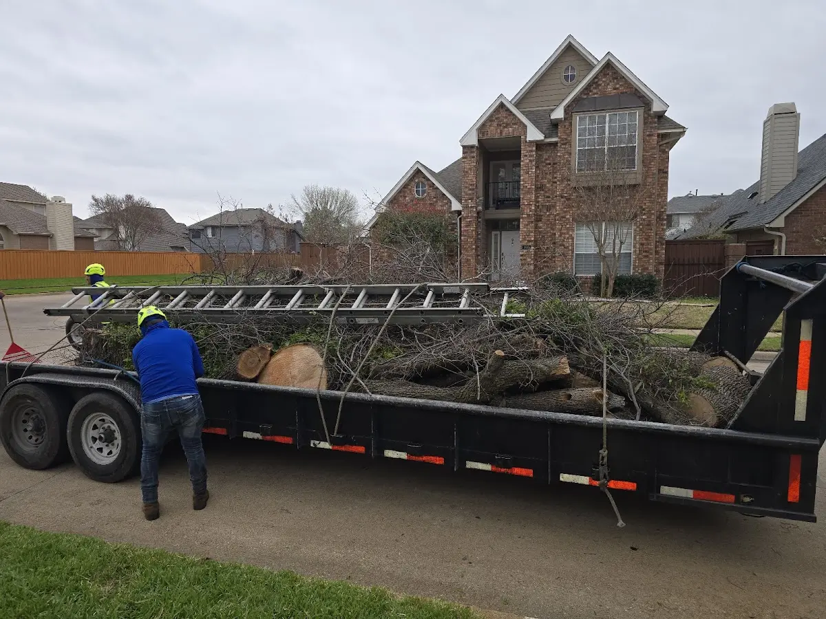 Expert Tree Fertilization with proper safety equipment in Parksville